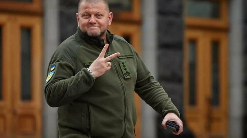 П’ята частина російських військ в Україні розгромлена, - Залужний