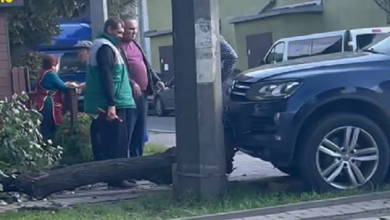 У Луцьку на Ковельській авто зламало дерево на тротуарі