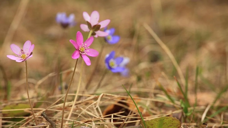Дощі припиняються: у середу на українців чекає поліпшення погоди