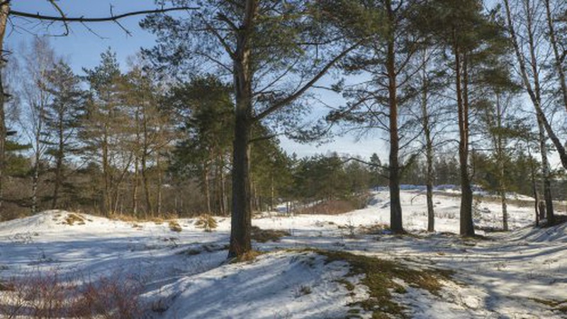 Яка погода чекає на волинян 15 лютого