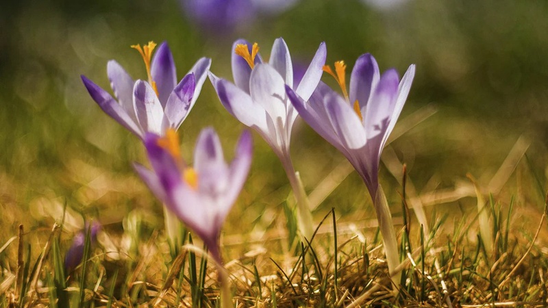 Дощі, подекуди туман: прогноз погоди на 25 березня