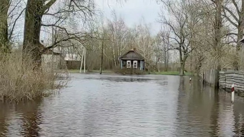 На Волині чоловік з інвалідністю і його старенька матір роками страждають від затоплення будинку