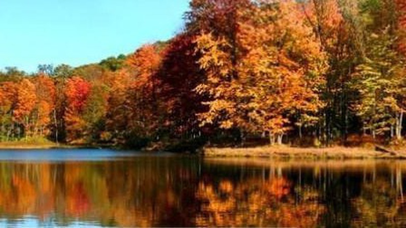 Яка погода очікується завтра, 20 жовтня