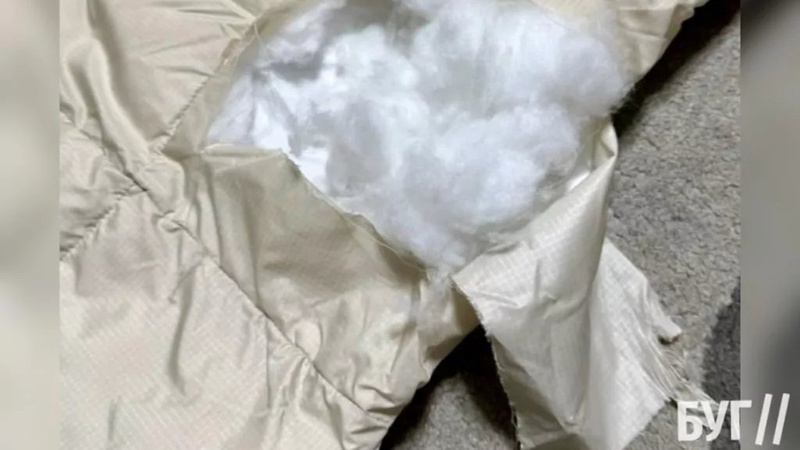 Порвали пальто та вкусили за ногу: у Нововолинську собаки напали на жінку