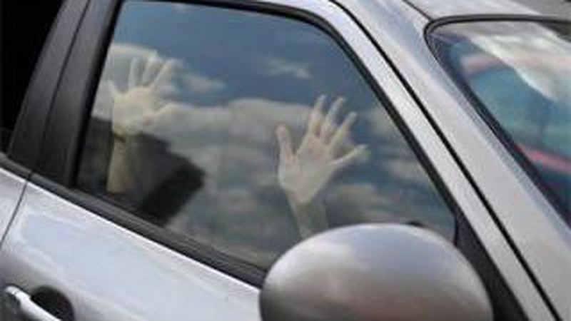 У Луцькому районі водій зґвалтував дівчину