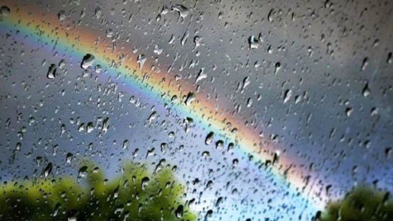 Чи дощитиме в Луцьку завтра, 8 червня