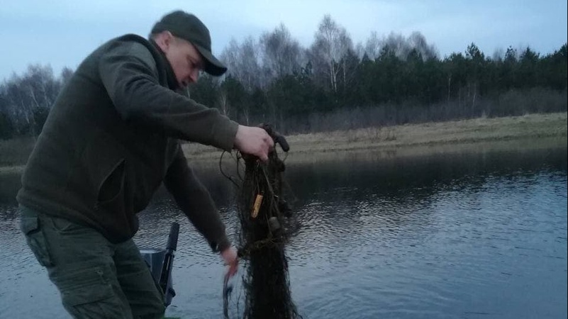 На волинському озері врятували качку-шилохвоста, яка заплуталась у сітці