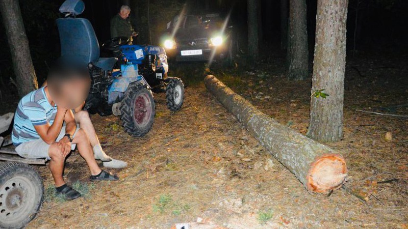 На Волині крадії лісу, застукані «на гарячому», напали на лісівників