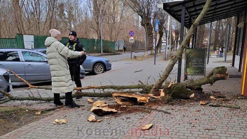 У Ковелі гілка з дерева розтрощила магазинну вивіску та пошкодила припарковане авто