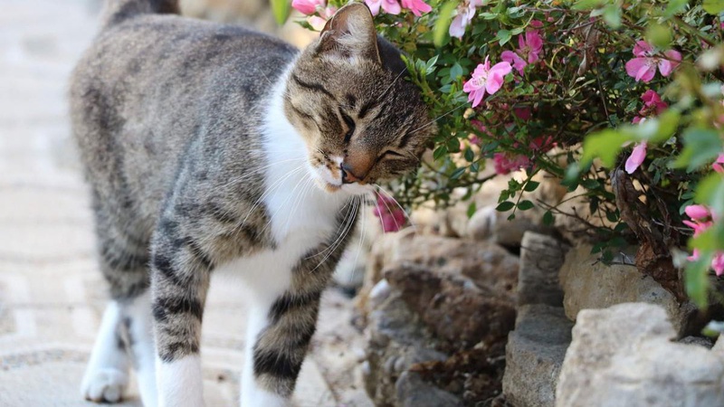 Літнє тепло пануватиме в Україні: синоптик розповіла, де буде +30 градусів