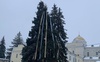 У Луцьку на Театральному майдані прикрашають ялинки