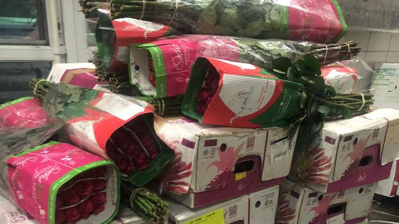 На волинській митниці затримали вантажівку, забиту тоннами квітів та декоративних рослин
