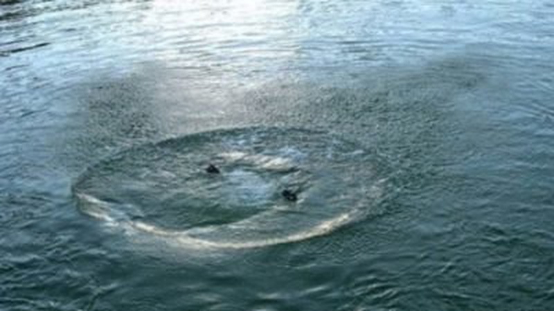 На Волині в ставку втопився 20-річний хлопець