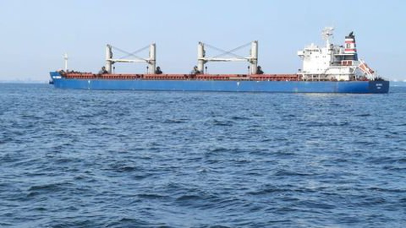 Ще два судна успішно пройшли тимчасовим «зерновим коридором» – Зеленський