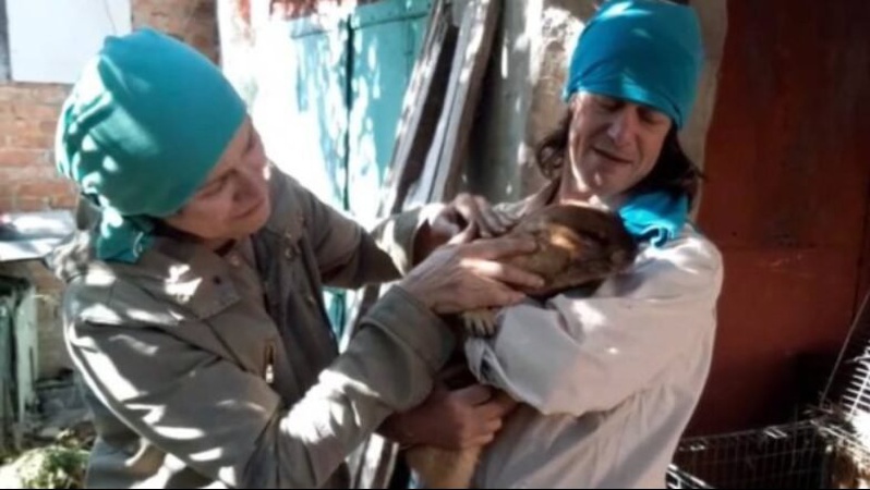 Харківський бабак-віщун Тимко пережив окупацію