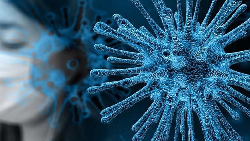 В Україні за добу підтвердили 1906 нових випадків COVID-19