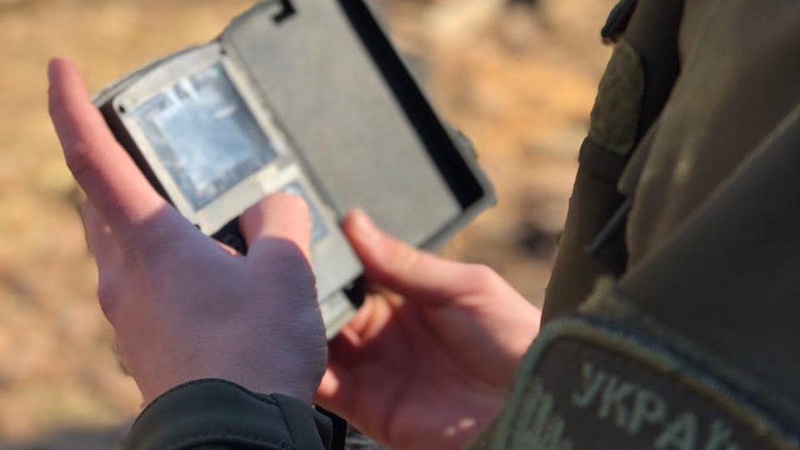 На Волині браконьєри вбили три диких кабани