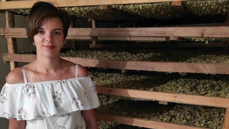 На Волині все село допомагає подружжю сушити фрукти та овочі для військових