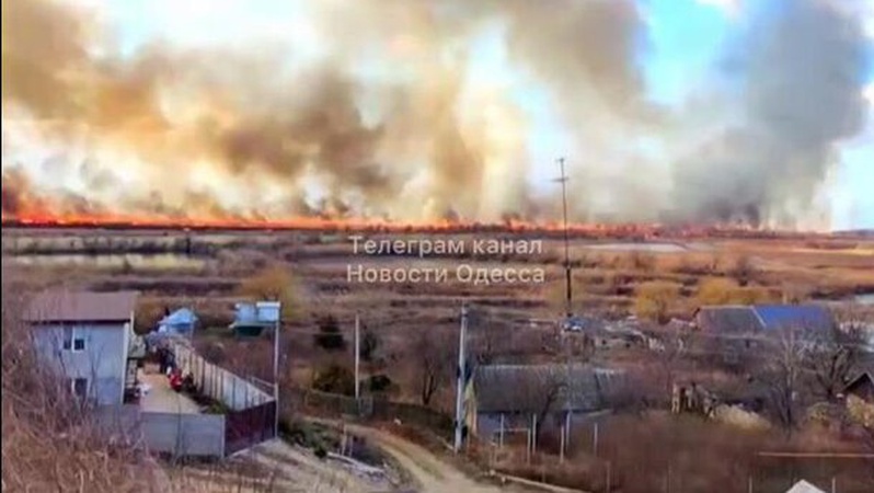 Одеса у вогні: горить національний природний парк