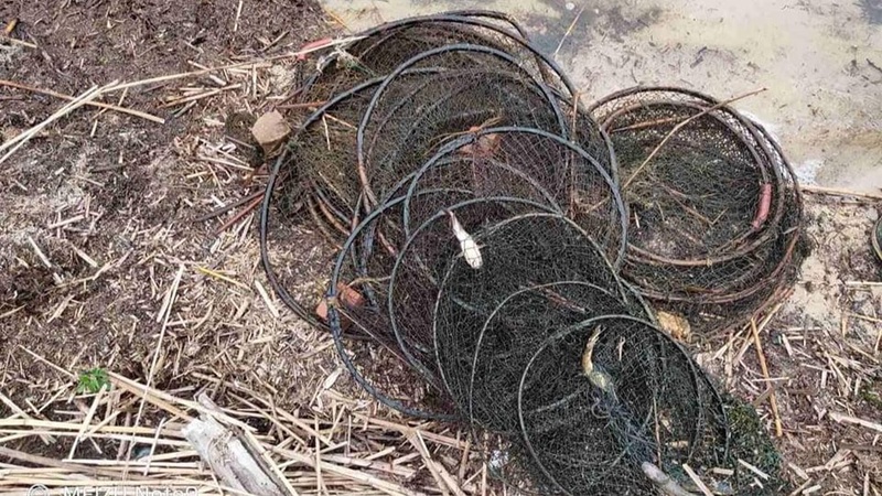 На водоймах шацького нацпарку вилучили браконьєрські знаряддя лову