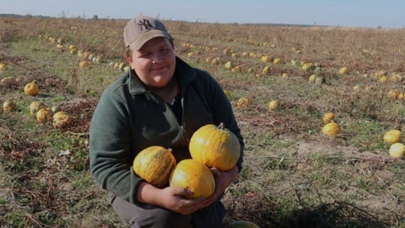 15 гектарів гарбузів: як на Волині господарює 18-річний хлопець