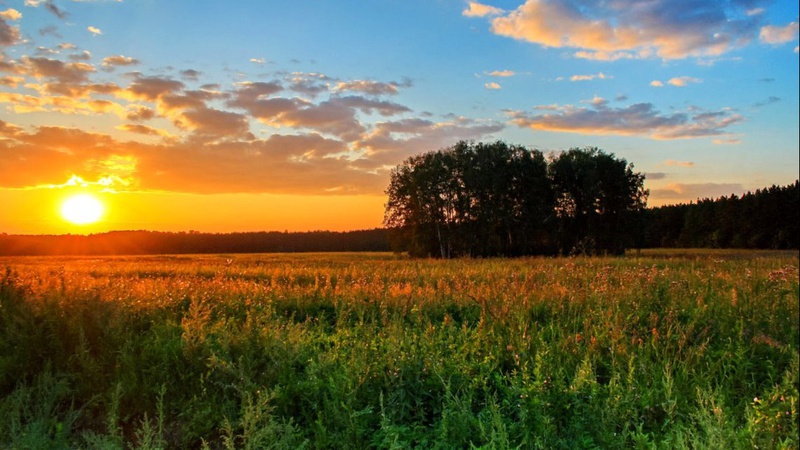 В Україну прийде аномальне тепло
