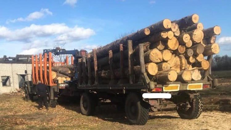 На Волині «накрили» незаконну пилораму. ФОТО