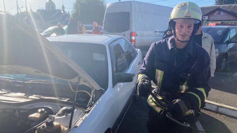 В Нововолинську з-під капота автівки дістали вужа