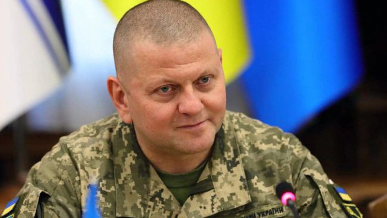 Умєров вніс подання на звільнення Залужного, — нардеп