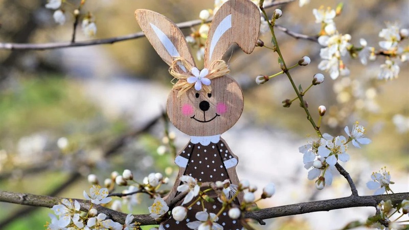 Яка погода буде у квітні: прогноз Укргідрометцентру