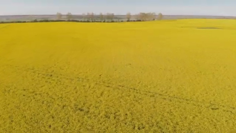 «Свобода – те, що нам треба»: волинський репер випустив новий кліп