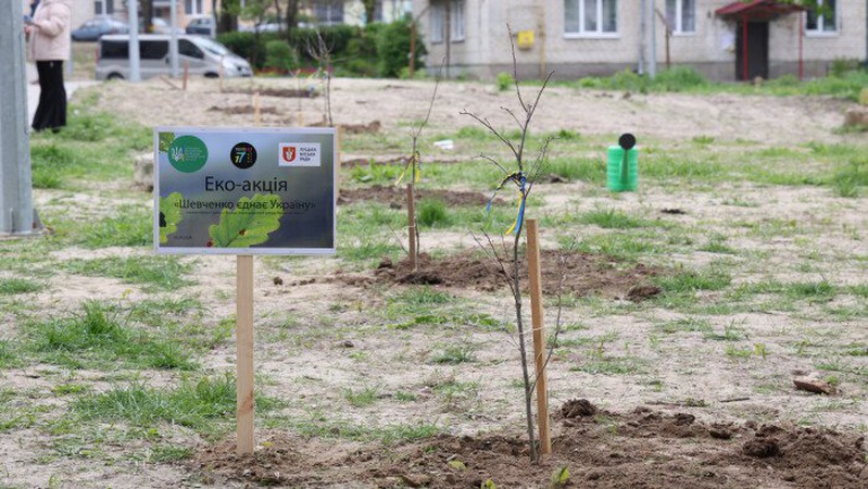 У Луцьку висадили 47 дубів Шевченка в рамках акції «Шевченко єднає Україну»