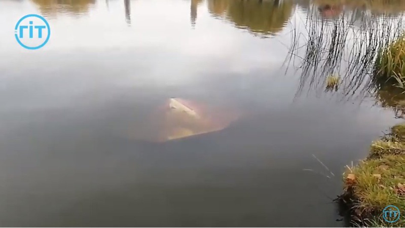 У Луцьку на Теремнівських ставках вандали потрощили і втопили у воді пляжні грибки. ВІДЕО