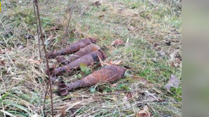 У Луцькому районі «чорні» археологи на полях знайшли небезпечні знахідки