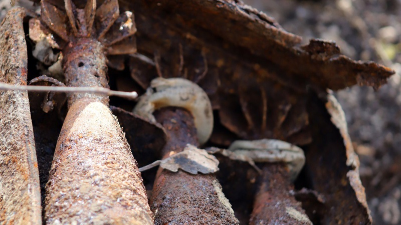 На Волині сапери ДСНС знищили понад півтори сотні в боєприпасів