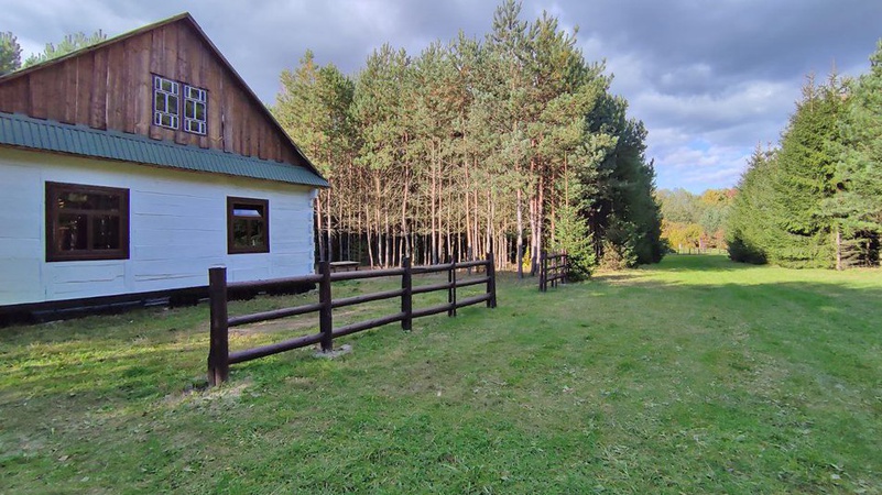 Колиска УПА на Волині: розповіли історію урочища Вовчак