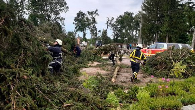 У селі на Волині буревій повалив дерева. ФОТО