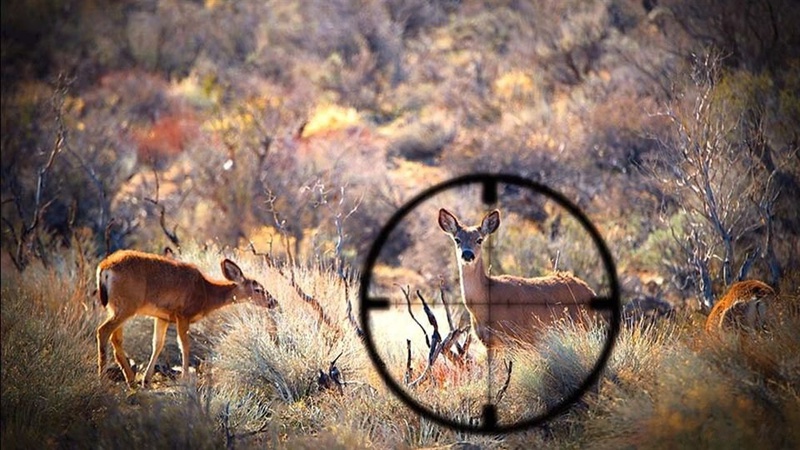 У Луцькому районі спіймали браконьєра