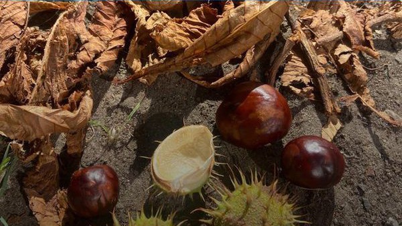 На Волині стане тепліше