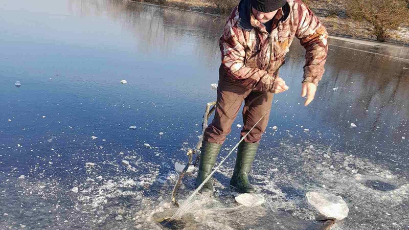 У Луцькому районі виявили та вилучили з води дві незаконні рибальські сітки: рибу визволили