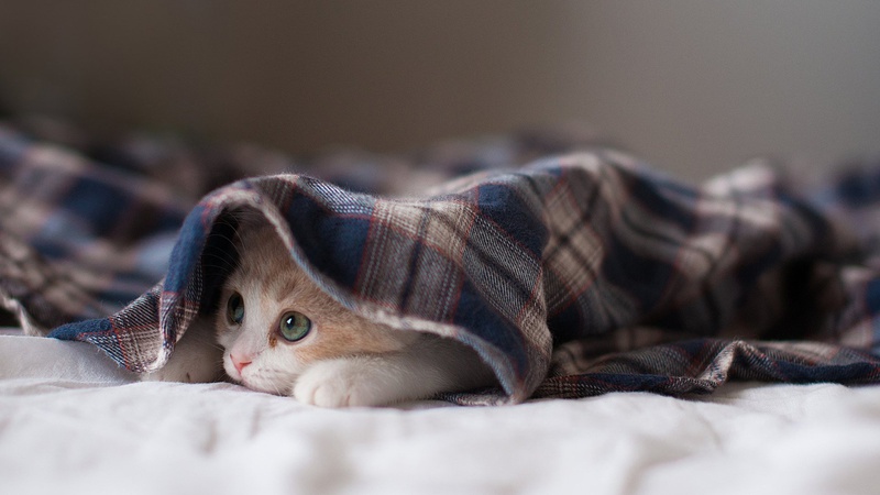 Прогноз погоди на 30 листопада