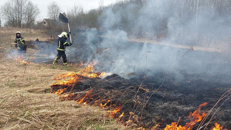 На Волині згоріло два гектари сухої трави
