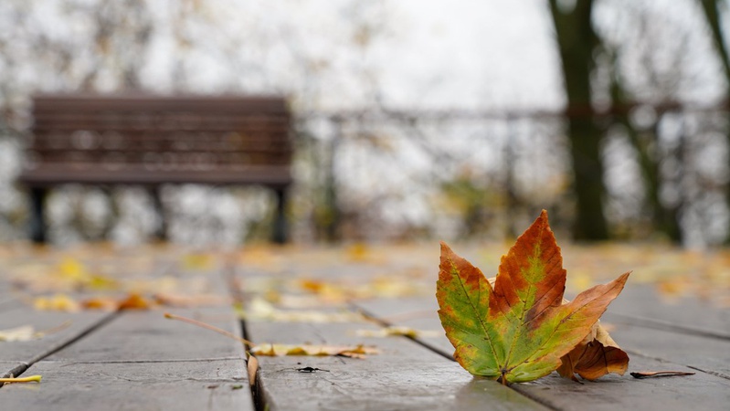 Ночі стають прохолоднішими: прогноз погоди на 13 вересня