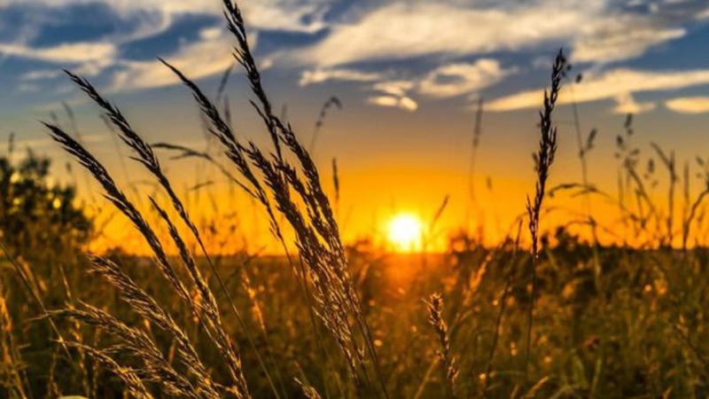 Без опадів, до 30° тепла: прогноз погоди на 18 червня