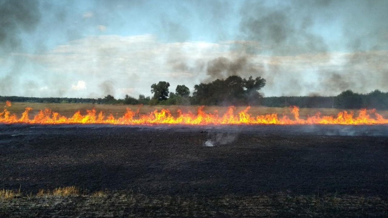 Палій стерні на Волині заплатить 3060 гривень штрафу