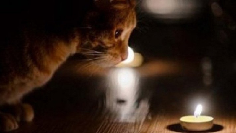 На Волині в понеділок, 9 серпня, не буде світла на п’яти вулицях. АДРЕСИ