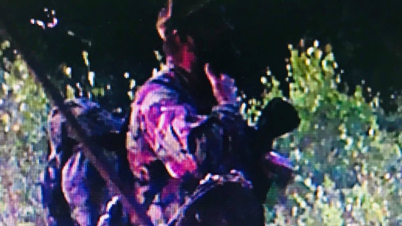 Погрожував стріляти й втікав: лікаря з Волині вкотре спіймали на браконьєрстві