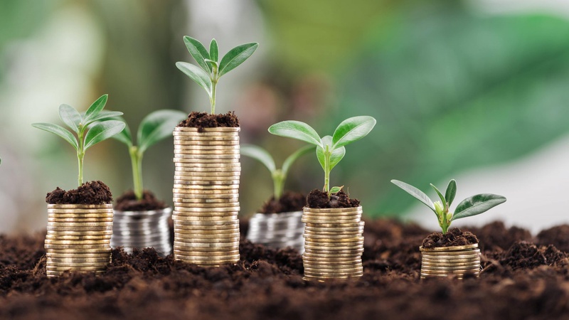 На Волині повернули у державну власність ділянку за 1,5 млрд грн