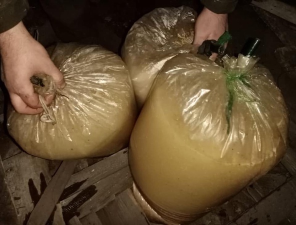 В ув’язнених у виправній колонії на Волині знайшли заборонені предмети