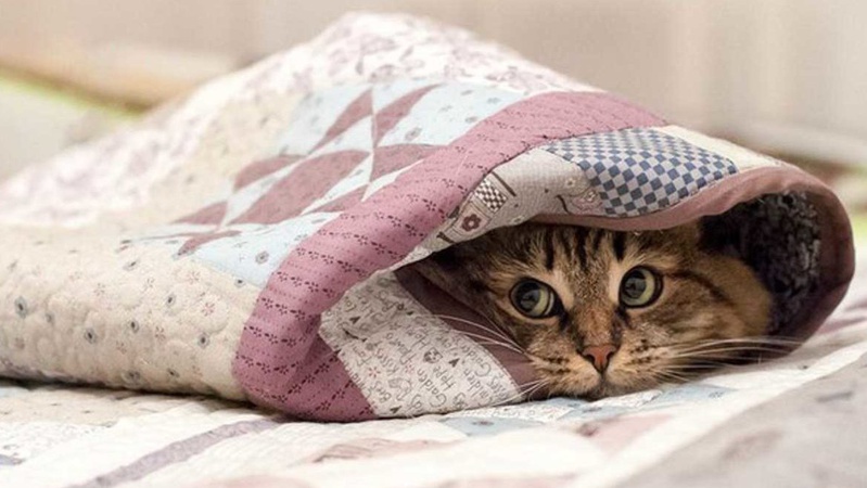 На Волинь суне похолодання